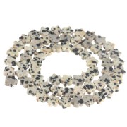 Perles fleur 6 mm en pierre gemme - Jaspe Dalmatien x38cm