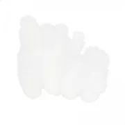 Assortiment de plumes de coq 7 cm Blanc x20
