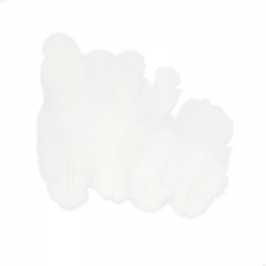 Assortiment de plumes de coq 7 cm Blanc x20