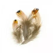 Assortiment de plumes de coeur de faisan 7 cm Naturel x10g