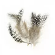 Assortiment de plumes de pintade 5 cm Naturel x10g