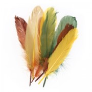 Assortiment de plumes d'oie 15 cm Automne x20g