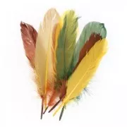 Assortiment de plumes d'oie 15 cm Automne x20g