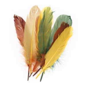 Assortiment de plumes d'oie 15 cm Automne x20g