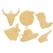 Mix de breloques époxy Western Girly - Exclu Perles&Co - Acier inox 304L Doré x6