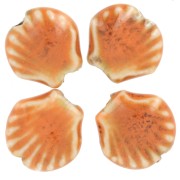 Perles coquillage 14 mm en céramique - Orange - Tacheté noir x4