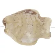 Sable - Perle poisson 14x19 mm en céramique - Marbré Sable x1 Perle poisson 14x19 mm en céramique - Marbré Sable x1