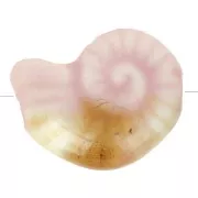 Perle coquillage 20x16 mm en céramique - Rose clair - Marbré Beige x1
