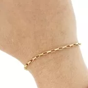 Chaîne maille Rectangle 2.7 mm - Acier inoxydable 304 Doré x50cm