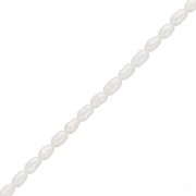 Perles d'eau douce grain de riz - 3x2.5 mm - Grade AA Blanc x20