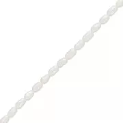 Perles d'eau douce grain de riz - 3x2.5 mm - Grade AA Blanc x20