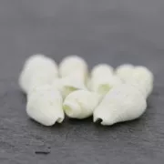 Assortiment de mini coquillages 10 mm Naturel x 10