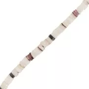 Perles rondelles Heishi coquillage 3 mm Tiger Cowrie Marron x62 cm