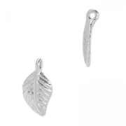Breloque feuille 13x7 mm en acier inoxydable x1