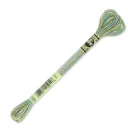 Fil à broder DMC Mouliné Effet Lumière Joyaux Vert (135) x8m|raw }}