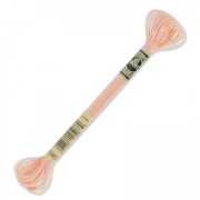 Fil à broder DMC Mouliné Effet Lumière Light Peach (967) x8m