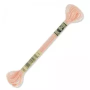 Fil à broder DMC Mouliné Effet Lumière Light Peach (967) x8m
