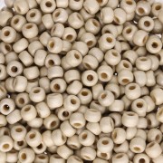 Rocaille Miyuki Duracoat 8/0 4201F - Galvanized Silver Mat x8g|raw }}