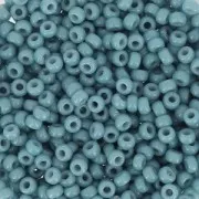 Rocaille Miyuki Duracoat 11/0 4482 - Opaque Bayberry x8g