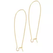 Boucles d'oreilles crochets dormeuses 48 mm - Doré x2