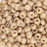 Rocaille Miyuki 6/0 4691 - Opaque Glazed Moth Wing Mat AB x8g