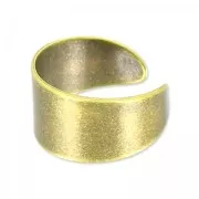 Bague large sans anneau bronze x1