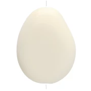 Perle plate irrégulière en résine opaque 22x17 mm - Ecru x1