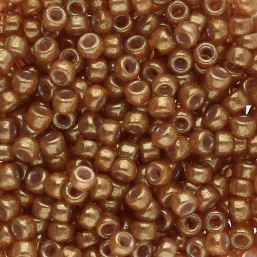 Rocaille Miyuki 8/0 2372 - Spice Luster x8g
