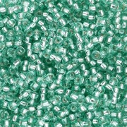 Rocailles 11/0 2 mm - Solgel - Green 2 Dyed Crystal Silver Lined x20g