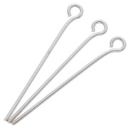Clous tête ronde 25x0.7 mm - Argenté x 25