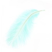 Plume d'autruche 15-20 cm Mint x1|raw }}