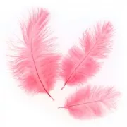 Plume d'autruche 15-20 cm Mint x1