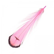 Plume de faisan rayée 6-11 cm Hot Pink x1