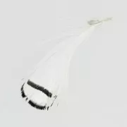 Plume de faisan rayée 6-11 cm Blanc x1