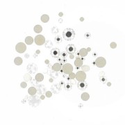 Assortiment de strass à coller Swarovski Crystal x2gr|raw }}