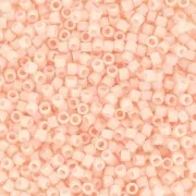 Miyuki Delica 11/0 DB0206 - Opaque Salmon x 8g