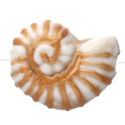 Perle coquillage escargot 21x16 mm en céramique - Blanc - Doré x1