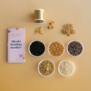Mes bijoux DIY - Kit Boucles d'oreilles spirales avec perles Miyuki