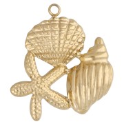 Pendentif étoile de mer et coquillages 22x20 mm - Acier inoxydable 304 Doré x1|raw }}