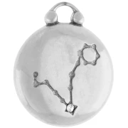 Breloque ronde réversible 17 mm signe du zodiaque Poisson - Acier inox 304 x1