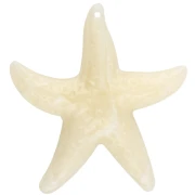 Bijou de sac
