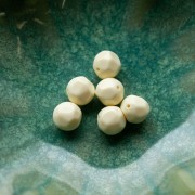 Perles rondes irrégulières facettées 10 mm résine opaque - Ecru x6