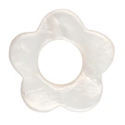 Nacre & Coquillage