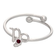 Bague réglable signe du zodiaque - Capricorne - Acier inox 304L - Rouge x1|raw }}