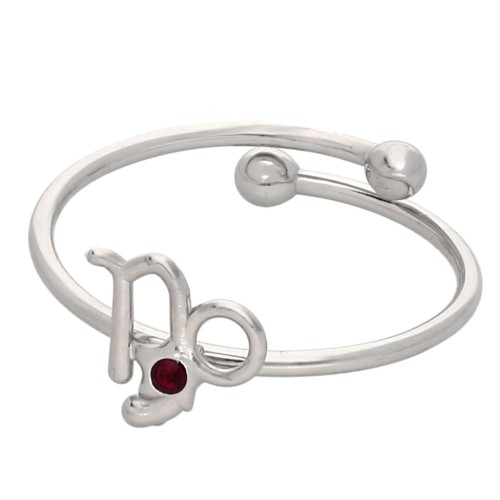 Bague réglable signe du zodiaque - Capricorne - Acier inox 304L - Rouge x1