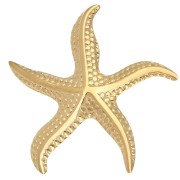 Broche étoile de mer 49x45 mm - Acier Inoxydable 304 Doré x1|raw }}