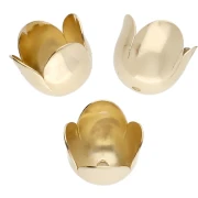 Coquilles tulipes 10 mm - Doré à l'or fin x4