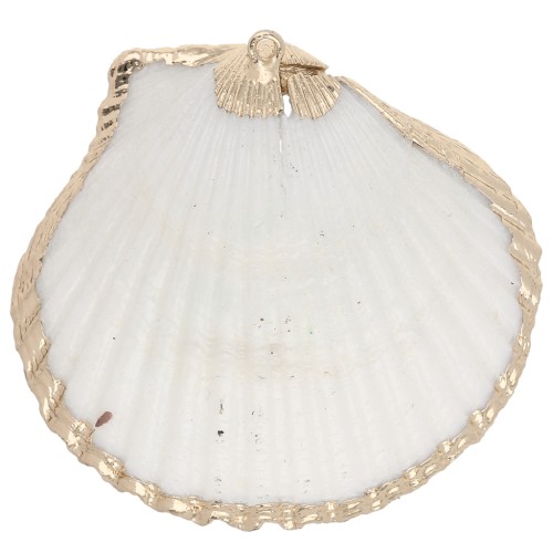 Pendentif coquillage de 40 à 50 mm avec bordures dorées - Naturel x1