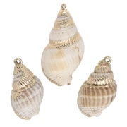 Coquillages