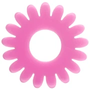  Fleurs